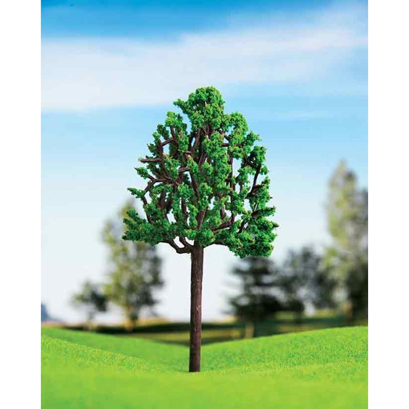 Eshel Kavak Ağacı--2,5 Cm--6 Lı
